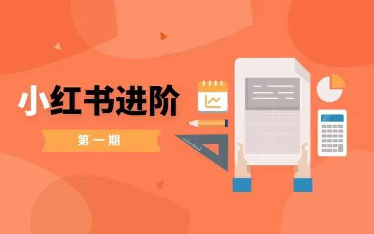 小红书进阶篇，零基础小白实战课，普通人变现的课程-玖哥网创