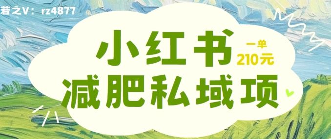 小红书减肥粉，私域变现项目，一单就达210元，小白也能轻松上手【揭秘】-玖哥网创