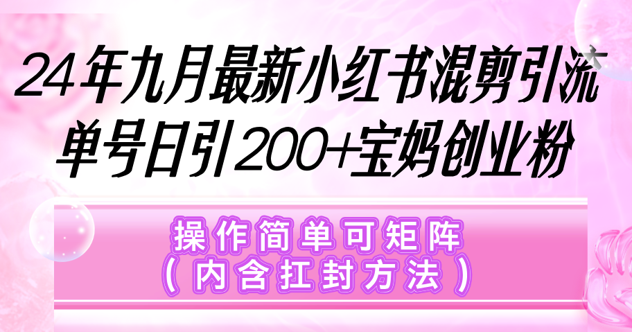 （12530期）小红书混剪引流，单号日引200+宝妈创业粉，操作简单可矩阵（内含扛封…-玖哥网创