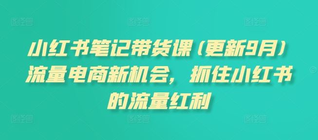 小红书笔记带货课(更新9月)流量电商新机会，抓住小红书的流量红利-玖哥网创