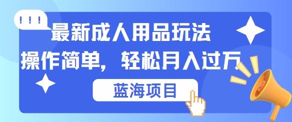 最新成人用品项目玩法，操作简单，动动手，轻松日入几张【揭秘】-玖哥网创