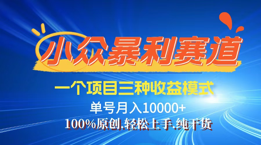 （12579期）【老人言】-视频号爆火赛道，三种变现方式，0粉新号调调爆款-玖哥网创