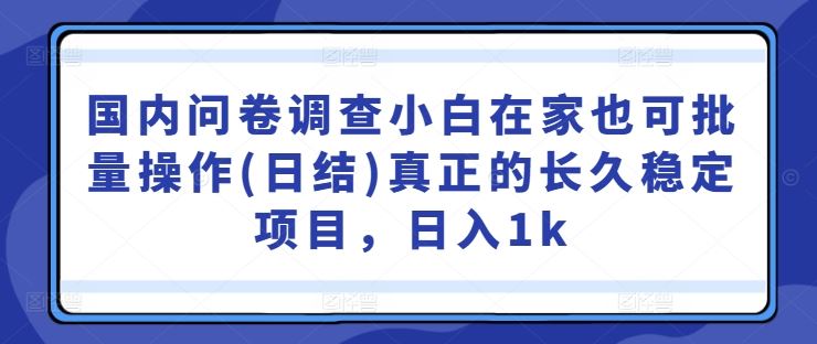 国内问卷调查小白在家也可批量操作(日结)真正的长久稳定项目，日入1k【揭秘】-玖哥网创