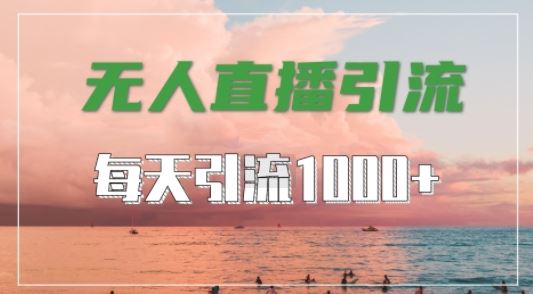 抖音快手视频号全平台通用，无人直播引流法，超暴力引流1000+高质量精准创业粉【揭秘】-玖哥网创