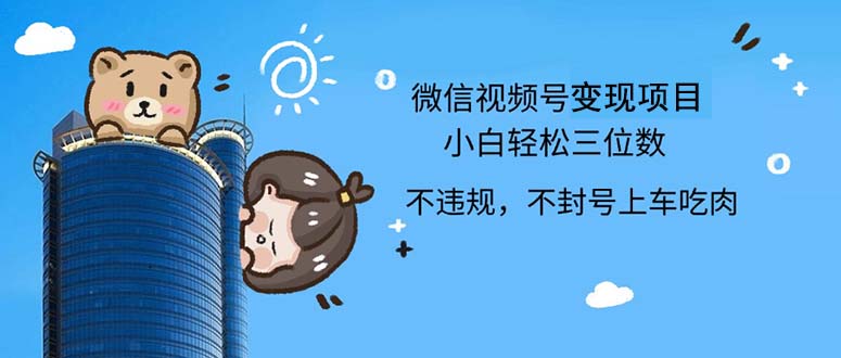 （12660期）2024最新微信视频号，0撸项目，自己玩，小白轻松日入三位数-玖哥网创