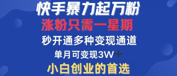 快手暴力起万粉，涨粉只需一星期，多种变现模式，直接秒开万合，单月变现过W【揭秘】-玖哥网创