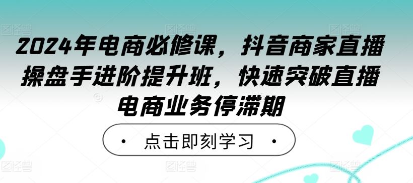 2024年电商必修课，抖音商家直播操盘手进阶提升班，快速突破直播电商业务停滞期-玖哥网创