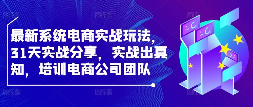 最新系统电商实战玩法，31天实战分享，实战出真知，培训电商公司团队-玖哥网创