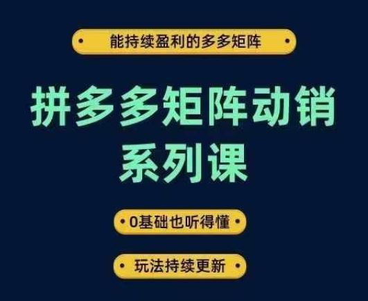 拼多多矩阵动销系列课，能持续盈利的多多矩阵，0基础也听得懂，玩法持续更新-玖哥网创