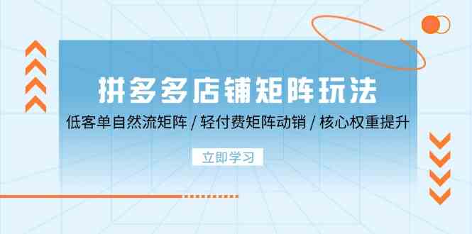 拼多多店铺矩阵玩法：低客单自然流矩阵 / 轻付费矩阵 动销 / 核心权重提升-玖哥网创