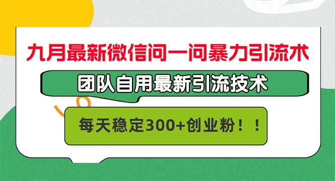 （12735期）九月最新微信问一问暴力引流术，团队自用引流术，每天稳定300+创…-玖哥网创