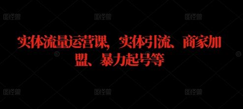 实体流量运营课，实体引流、商家加盟、暴力起号等-玖哥网创