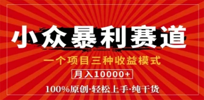 （12756期）视频号最新爆火赛道，三种可收益模式，0粉新号条条原创条条热门 日入1000+-玖哥网创