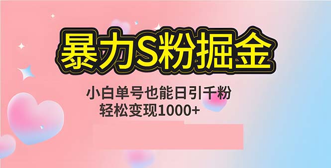 （12778期）单人单机日引千粉，变现1000+，S粉流量掘金计划攻略-玖哥网创