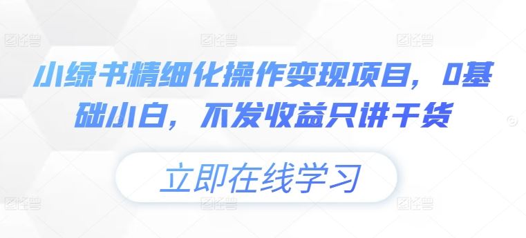 小绿书精细化操作变现项目，0基础小白，不发收益只讲干货-玖哥网创