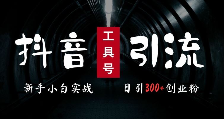 2024最新抖音工具号引流玩法，高效日引300+创业粉，当天变现5k，小白也可成为实战高手-玖哥网创