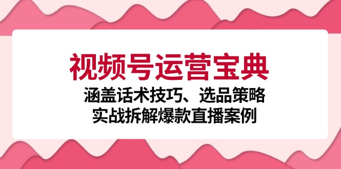 视频号运营宝典：涵盖话术技巧、选品策略、实战拆解爆款直播案例-玖哥网创