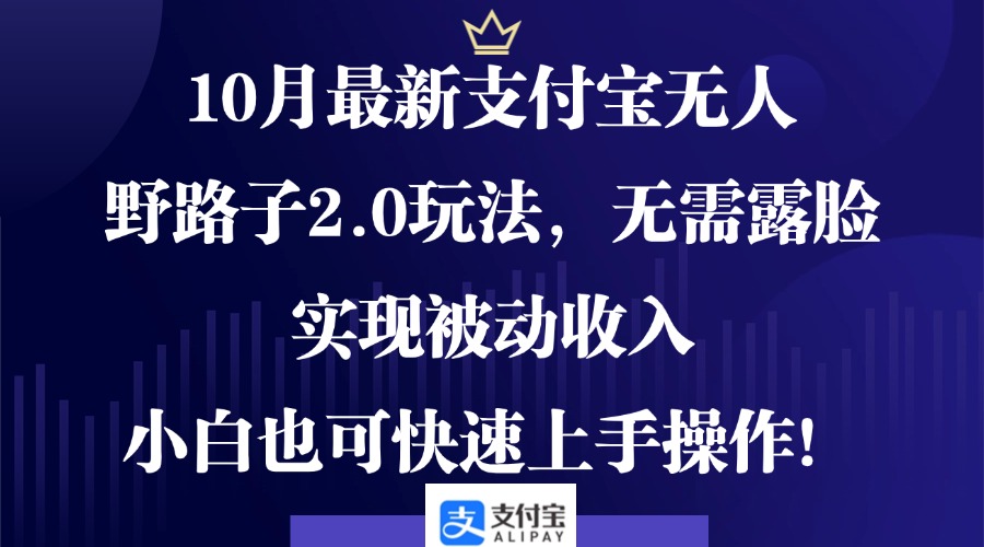 （12824期）10月最新支付宝无人野路子2.0玩法，无需露脸，实现被动收入，小白也可…-玖哥网创