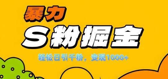 单人单机日引千粉，变现1k+，S粉流量掘金计划攻略【揭秘】-玖哥网创