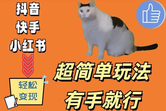 超简单玩法，有手就行，靠猫咪视频日入500+【揭秘】-玖哥网创