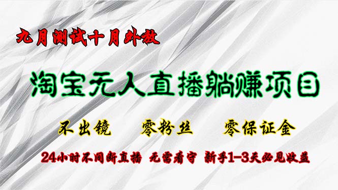 （12862期）淘宝无人直播最新玩法，九月测试十月外放，不出镜零粉丝零保证金，24小…-玖哥网创