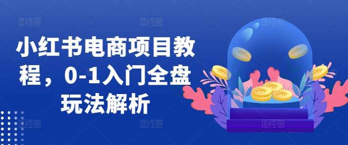 小红书电商项目教程，0-1入门全盘玩法解析-玖哥网创