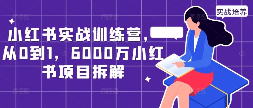 小红书实战训练营，从0到1，6000万小红书项目拆解-玖哥网创