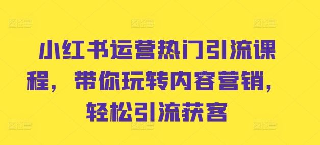 小红书运营热门引流课程，带你玩转内容营销，轻松引流获客-玖哥网创