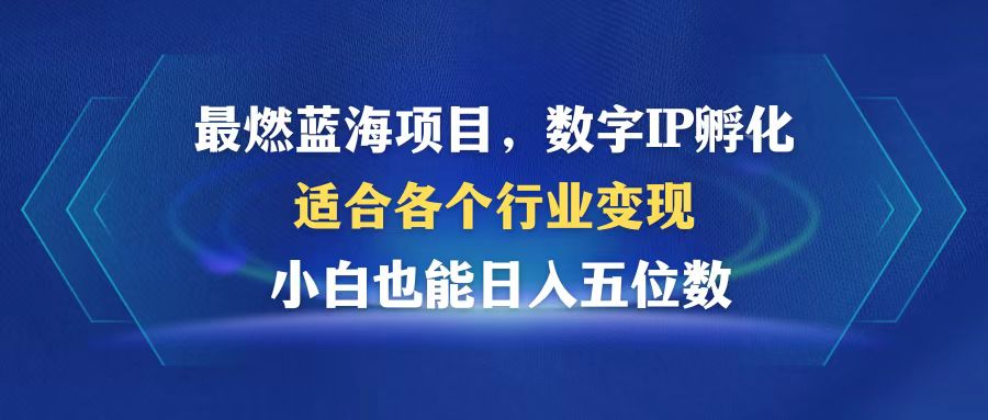 （12941期）最燃蓝海项目  数字IP孵化  适合各个行业变现  小白也能日入5位数-玖哥网创