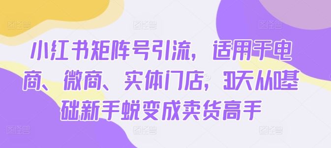 小红书矩阵号引流，适用于电商、微商、实体门店，30天从0基础新手蜕变成卖货高手-玖哥网创