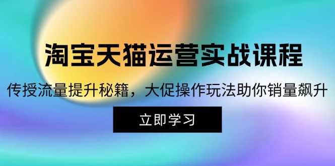 （12959期）淘宝&天猫运营实战课程，传授流量提升秘籍，大促操作玩法助你销量飙升-玖哥网创