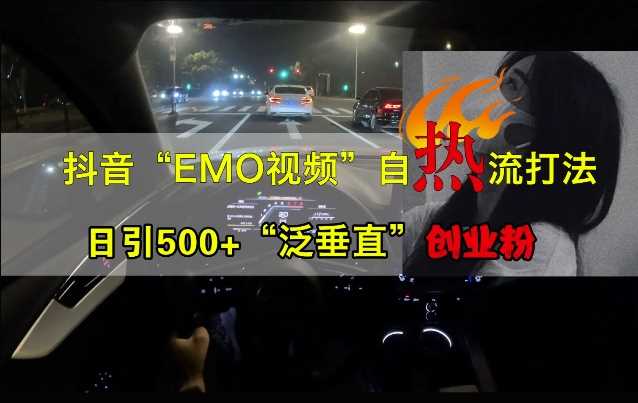 抖音EMO视频自热打法，日引500+“泛垂直”创业粉-玖哥网创