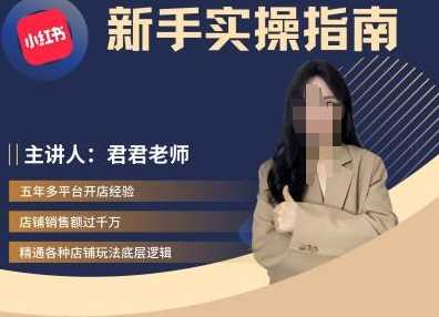 君君-小红书电商从入门到精通，新手实操指南-玖哥网创