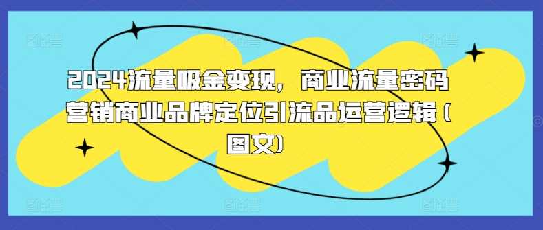 2024流量吸金变现，商业流量密码营销商业品牌定位引流品运营逻辑(图文)-玖哥网创