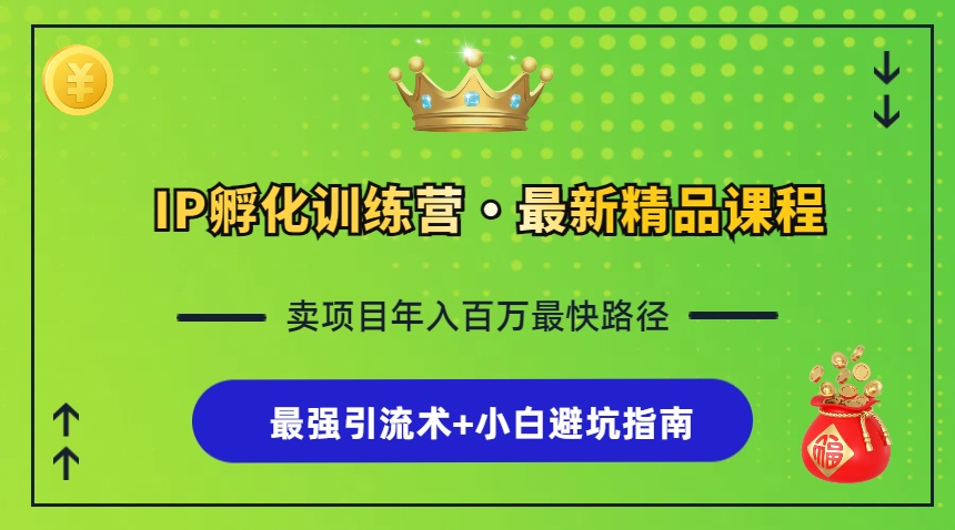 （13055期）IP孵化训练营，知识付费全流程+最强引流术+小白避坑指南-玖哥网创