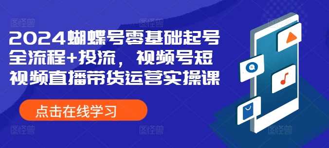 2024蝴蝶号零基础起号全流程+投流，视频号短视频直播带货运营实操课-玖哥网创