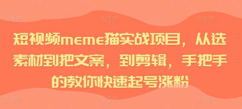 短视频meme猫实战项目，从选素材到把文案，到剪辑，手把手的教你快速起号涨粉-玖哥网创