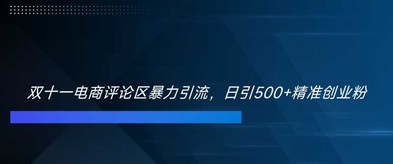 双十一电商评论区暴力引流，日引500+精准创业粉【揭秘】-玖哥网创