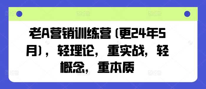 老A营销训练营(更24年10月)，轻理论，重实战，轻概念，重本质-玖哥网创