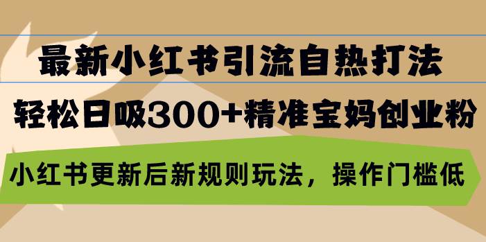 （13145期）最新小红书引流自热打法，轻松日吸300+精准宝妈创业粉，小红书更新后新…-玖哥网创