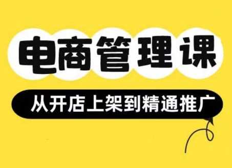 小红书&闲鱼开店从开店上架到精通推广，电商管理课-玖哥网创