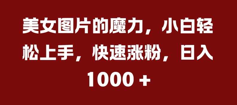 美女图片的魔力，小白轻松上手，快速涨粉，日入几张【揭秘】-玖哥网创