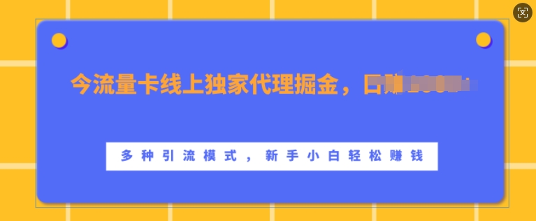 流量卡线上独家代理掘金，日入1k+ ，多种引流模式，新手小白轻松上手【揭秘】-玖哥网创