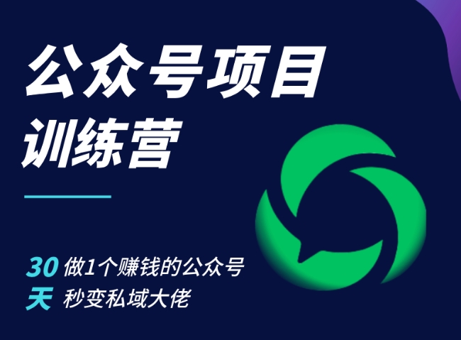 公众号项目训练营，30天做1个赚钱的公众号，秒变私域大佬-玖哥网创