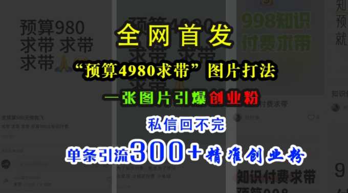 小红书“预算4980带我飞”图片打法，一张图片引爆创业粉，私信回不完，单条引流300+精准创业粉-玖哥网创
