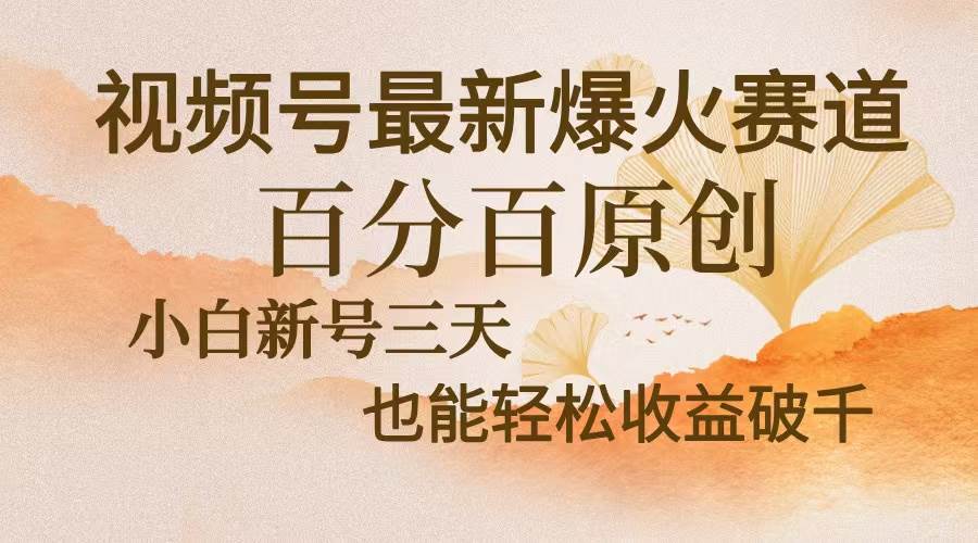 （13225期）视频号最新爆火赛道，中老年粉深信不疑，百分百原创，新号三天收益轻松…-玖哥网创