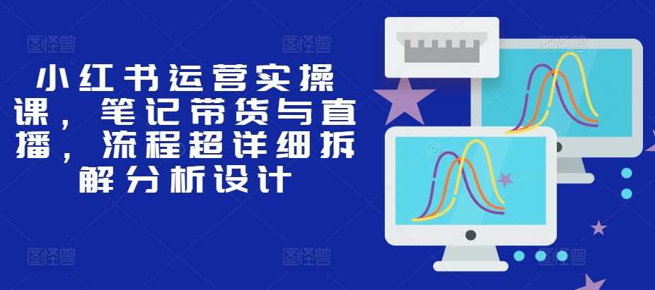 小红书运营实操课，笔记带货与直播，流程超详细拆解分析设计-玖哥网创
