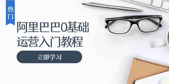 阿里巴巴运营零基础入门教程：涵盖开店、运营、推广，快速成为电商高手-玖哥网创