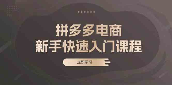 拼多多电商新手快速入门课程：涵盖基础、实战与选款，助力小白轻松上手-玖哥网创