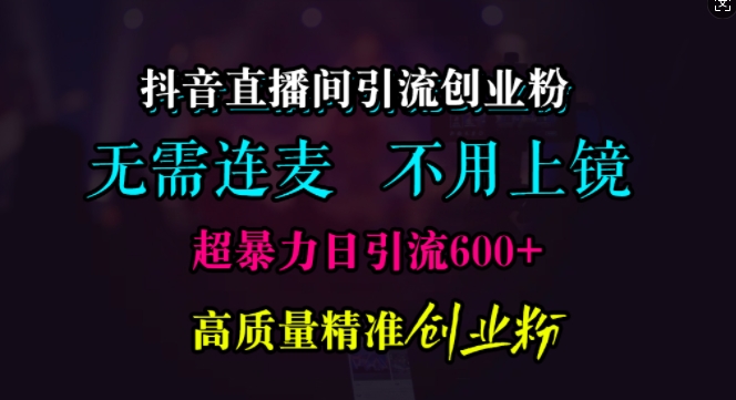 抖音直播间引流创业粉，无需连麦、无需上镜，超暴力日引流600+高质量精准创业粉【揭秘】-玖哥网创